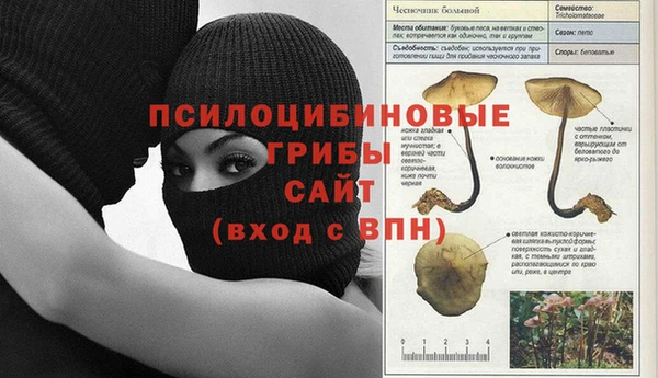 спиды Абдулино