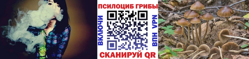 закладки  Адыгейск  блэк спрут tor  Галлюциногенные грибы ЛСД 
